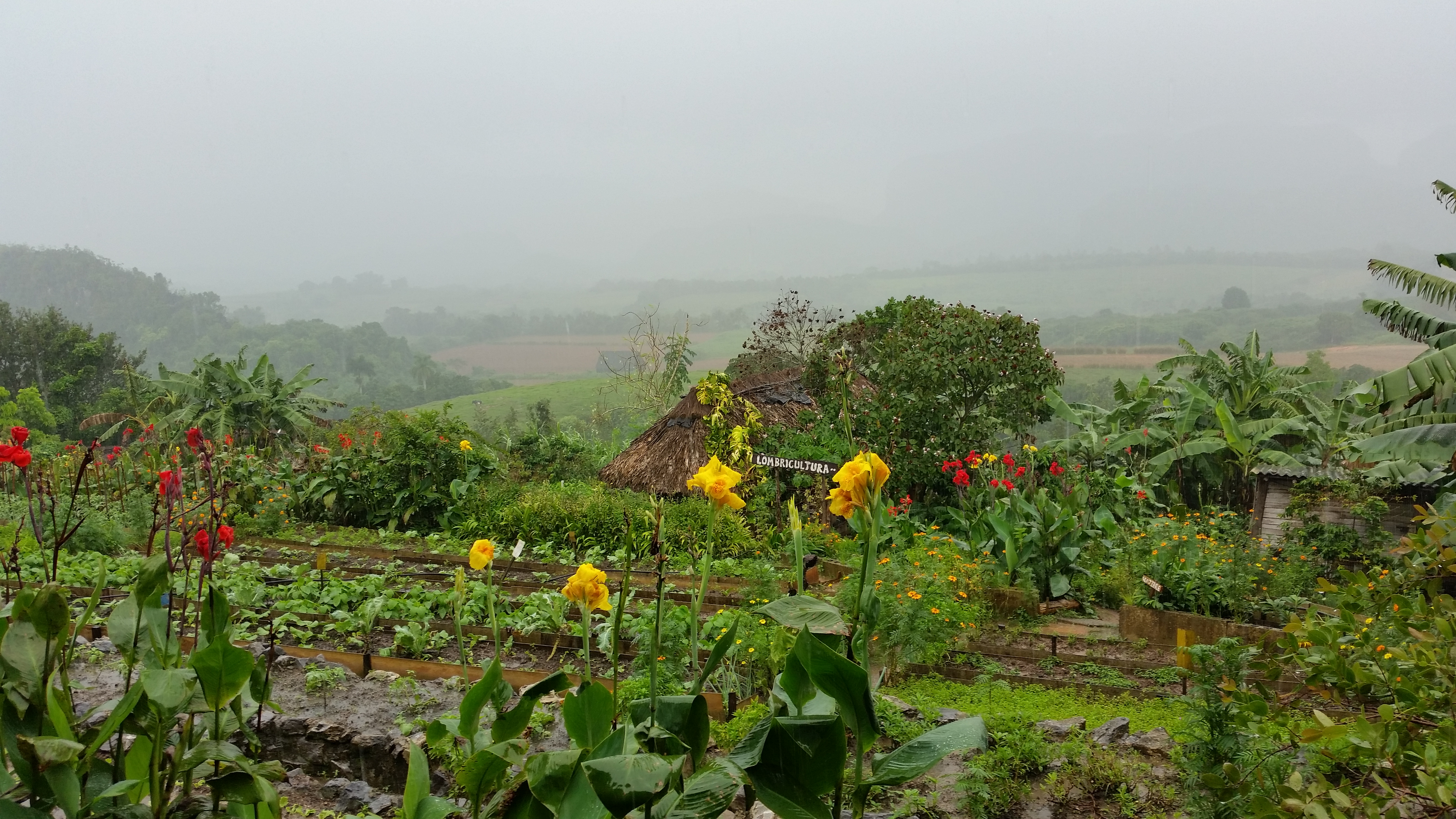 Finca Agroecologica El Paraiso